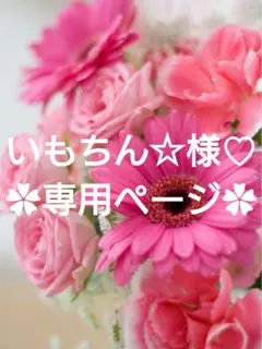 いもちん☆おまとめ割り有ります♡様 リクエスト 2点 まとめ商品♡