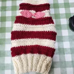 ニットペット服 赤とクリームストライプ