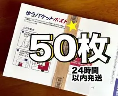 【50枚】折り曲げ無し ゆうパケットポストmini専用封筒