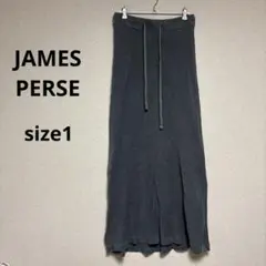 2025年最新】JAMES PERSE レディース ロングスカートの人気