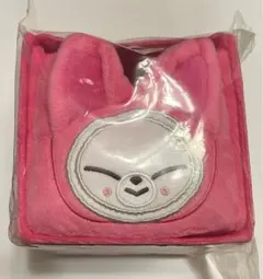 スキズ 収納ボックス フォクシニー