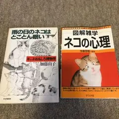 Item thumbnail for item 1c0cf966-3f00-47a4-b7a9-85f0fdf90b07