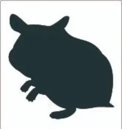 Item thumbnail for item 6d5931e8-d1b7-4a7d-a342-3f8c1f4a2318