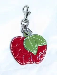 2025年最新】コーチ リンゴの人気アイテム - メルカリ