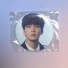 SEVENTEEN DREAM POPUP ウォヌ 缶バッジ