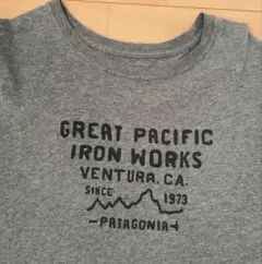 パタゴニアTシャツ