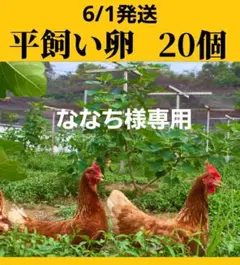 平飼い卵20個6/1常温発送ななち様専用