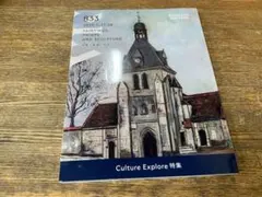 Culture Explore 特集 833 毎日オークション　カタログ　絵画