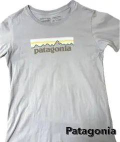 Patagonia フェザーグレー Tシャツ オーガニックコットンのサムネイル