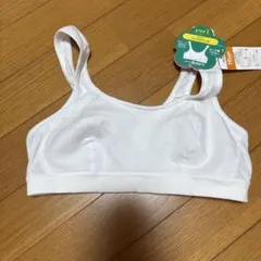 Atsugi Hijuni Lサイズ ブラジャー ※パッドなし