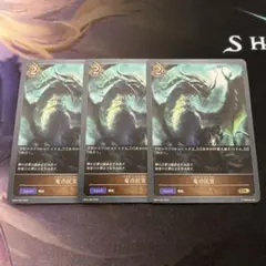 シャドウバースエボルヴ　竜の託宣 プロモ　3枚セット 竜の託宣(PR)(PR-209) | プロモ | ドラゴンスター | シャドウ