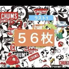 56枚　アウトドア　CHUMS チャムス ステッカー　ブービーバード
