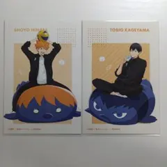 ハイキュー　日向翔陽　影山飛雄　ポストカード