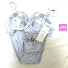 ブラジャーショーツセット