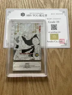 ARS10】 インフルエンサーの紹介 鑑定書付 019/023 PSA10 - メルカリ
