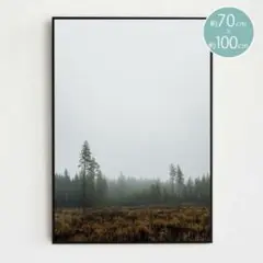 北欧 ポスター ファインリトルデイ SKOG 70×100cm 森