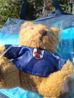 非売品】FC東京25th Teddy Bear Day 赤青ベア - メルカリ