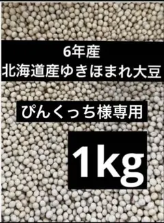 ぴんくっち様専用