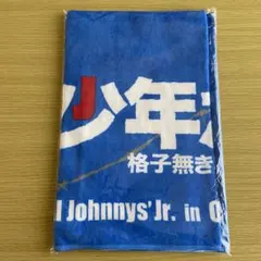 2025年最新】関西 jr タオルの人気アイテム - メルカリ