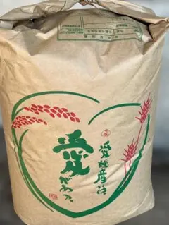 数量限定❗️令和7年 産 キヌヒカリ 玄米30キロ 淡路島 精米可30kg