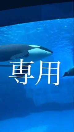 yuu 専用