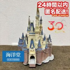 希少！TDL30周年 シンデレラ城 ディスプレイモデル 限定品 海洋堂 未開封 2026年最新】シンデレラ城 海洋堂の人気アイテム - メルカリ