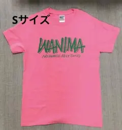 WANIMA Tシャツ Sサイズ ピンク PIZZA OF DEATH ロゴ