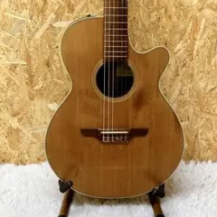 2025年最新】takamine npt-110の人気アイテム - メルカリ