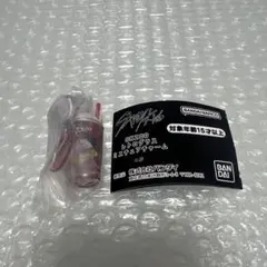 SKZOO レトログラス ミニチュアチャーム ジニレット