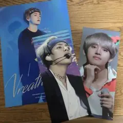 【ゆ-5】BTS 防弾少年団 テテ V テヒョン A4ポスター ミニスローガン