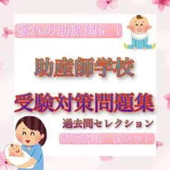 助産師学校受験対策セット 2025年最新】助産学校受験の人気アイテム - メルカリ