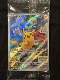 【24時間以内発送】未開封美品 スカバイ みんなでぼうけん ポケカ 2枚セット 未開封美品 スカバイ みんなでぼうけん ポケカ 2枚セット - メルカリ