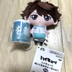 新品未使用 ハイキュー‼︎ 青葉城西 及川徹 ぬいぐるみちゃーむ コインシリンダー