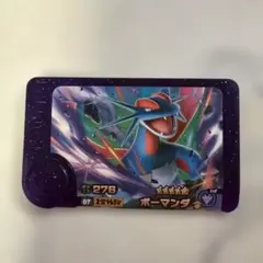 ポケモンフレンダボーマンダ スーパート レジャー