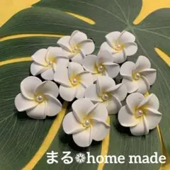 11 ✦プルメリアヘアクリップ 10個セット❁Handmade