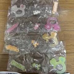 TWICE LOVELYS アクリルカラビナフロッキーマスコットガチャガチャ