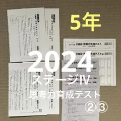未使用‼️2024年 日能研 5年 ステージⅣ 思考力育成テスト②③
