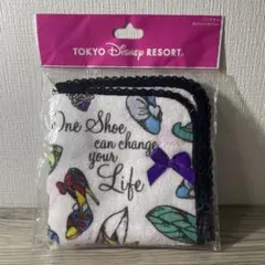東京ディズニーリゾート プリンセス ミニタオル