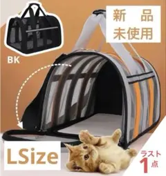 Item thumbnail for item 3470bbd4-bf03-4e4e-9f54-ff74ce031c4c