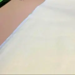 Item thumbnail for item 9e50c052-a7cf-4772-a832-2b233645509e