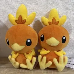 アチャモ　2体セット