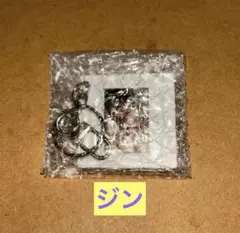 BTS アリラン Weverse グローバル アーリーバード　キーホルダー　ジン