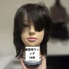 2026年最新】国家試験 カットウィッグの人気アイテム - メルカリ