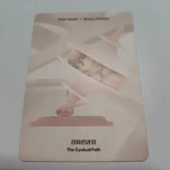 SKULLPANDA The Paradox フィギュア