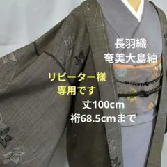 専用です 長羽織 袷 本場奄美大島紬 正絹