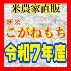農家直販 減農薬 令和7年 こがねもち もち米 新米 450g 白米 - メルカリ