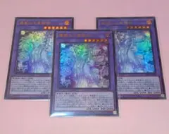 遊戯王 WPP6 優麗なる霊鏡姫(UR) 3枚セット 美品〜中品