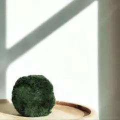 天然マリモ 約2.5cm 1個のサムネイル