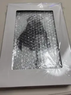櫻井陽菜 デジタルサイン入りアクリルブロック - メルカリ
