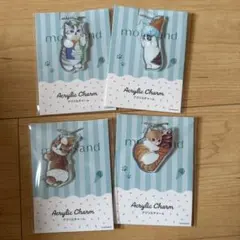 mofusand モフサンド ファミリーマート アクリルチャーム 全４種セット